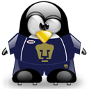 Penguin pingouin pinguino 837